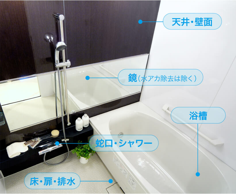 キャンペーン